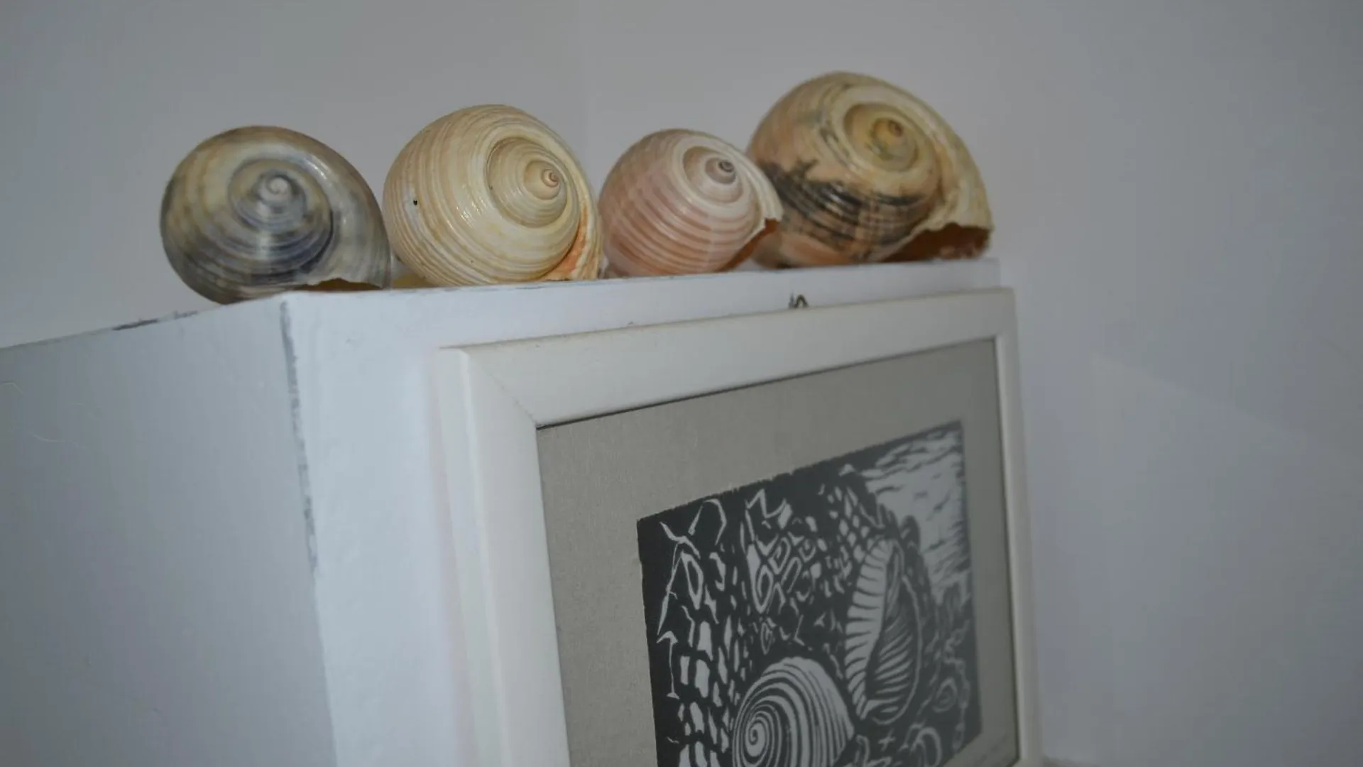 Seashell Art Decor Studio Private Garage Vlorë Apartamento
