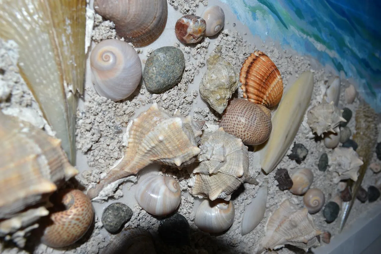 Apartamento Seashell Art Decor Studio Private Garage Vlorë